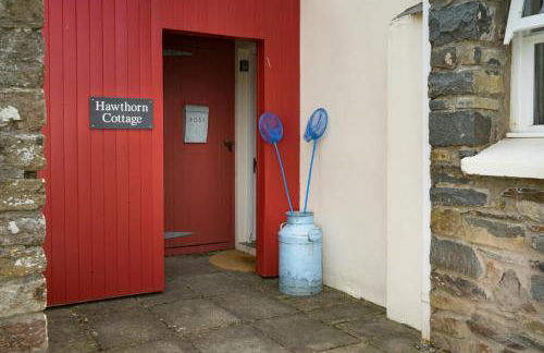 Hawthorn Cottage Little Haven - Photo 12