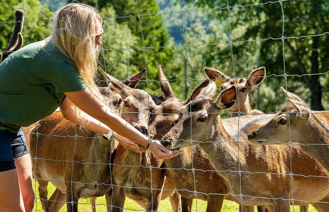 12 Person Holiday Home in Alfoten - Foto 21