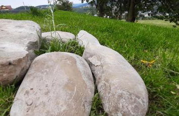 Domek pod Skiełkiem - Photo 66