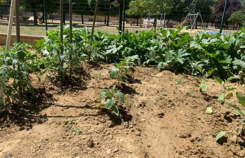 GuestHost - Casa del Giardino Apt with Shared Patio - Photo 39