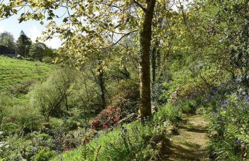 Kingfisher - Foto 34