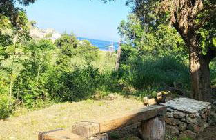 Cap Corse une villa dans un nid de verdure - Foto 16