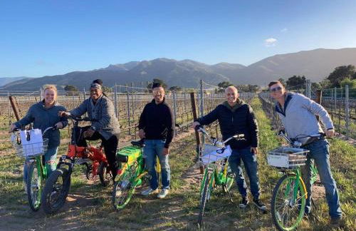 Country Style Home with Bikes! Heart of Wine Country - Photo 15