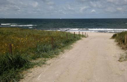 FEWO Sonne - Photo 25