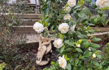 Bumble Bee Cottage - Photo 16