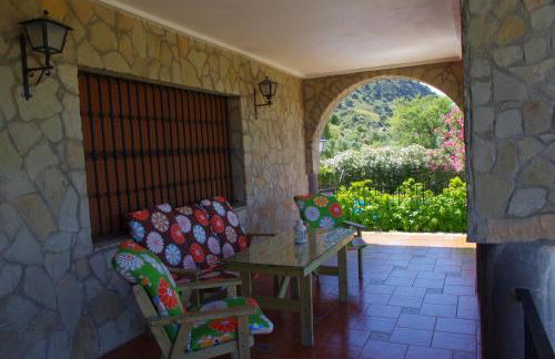 Finca Barreras - Photo 18