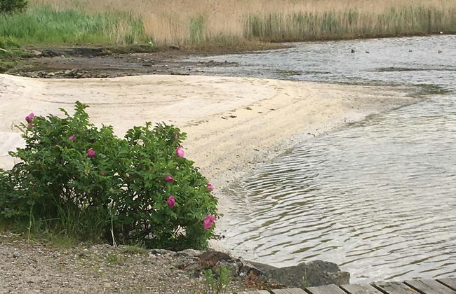 Holiday Home Sondre Hallangen - Foto 20