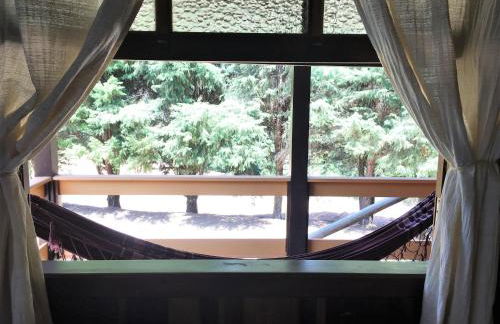 Pousada Recanto Primavera - Photo 43