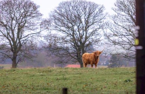 The Lodge House - By Elie - Foto 56