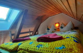 Ferienhaus-Bodden - Foto 24