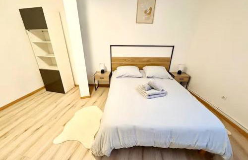 Spacieux appartement 3 chambres à Strasbourg - Foto 22
