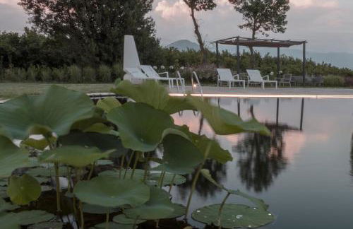 i Cacciagalli Wine Resort - Foto 16