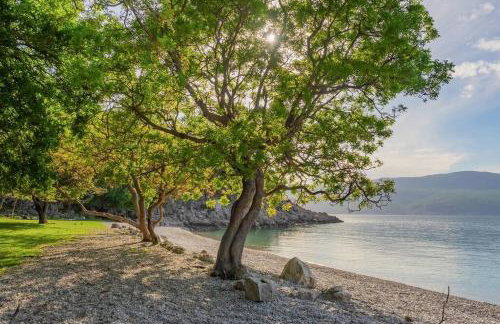 Holiday House - Old Olive - Foto 24