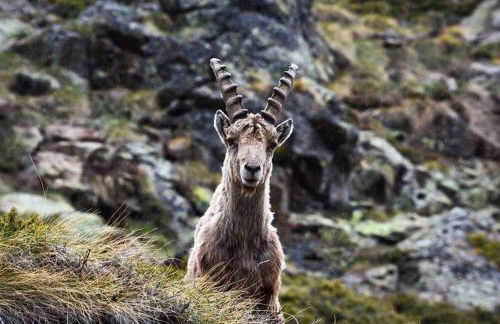 La Cachette Relax CIR 0001 - Foto 34