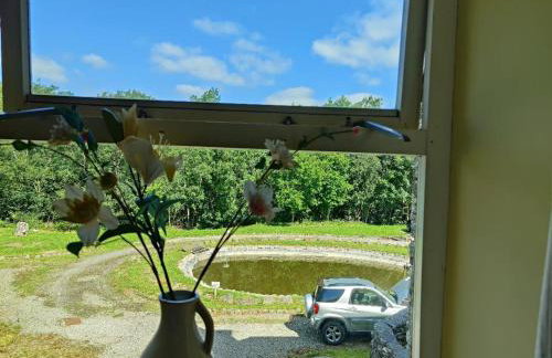 Bryn Cottage - Foto 20