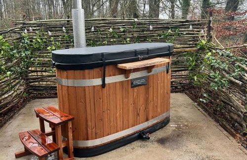 Bracken Fern - Photo 4