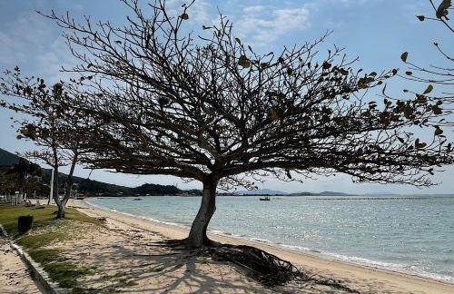 Cantinho do Papito & Katita - Photo 34