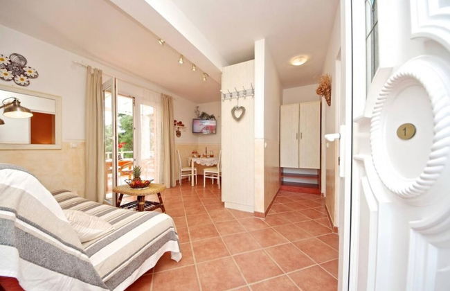 Dino - Gorgeous Garden - SA1 Zavala - Photo 10