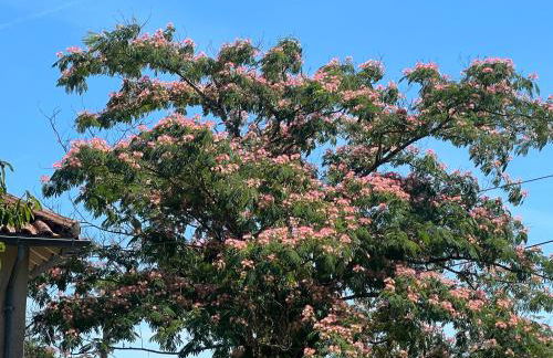 Virolet Barn - Foto 52