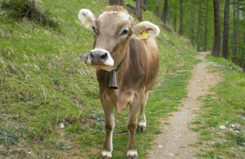 Casa Zebrusius - Bepi&Piera's Suite - Foto 43