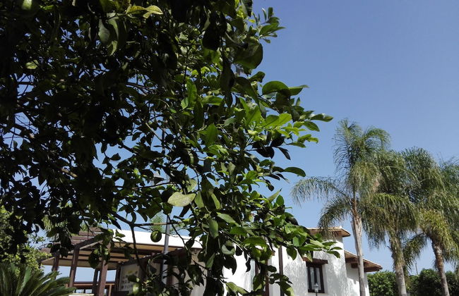 Agriturismo Terra dei Limoni - Foto 65