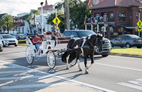 Urban Loft - City Center Walk to Everything - Photo 27