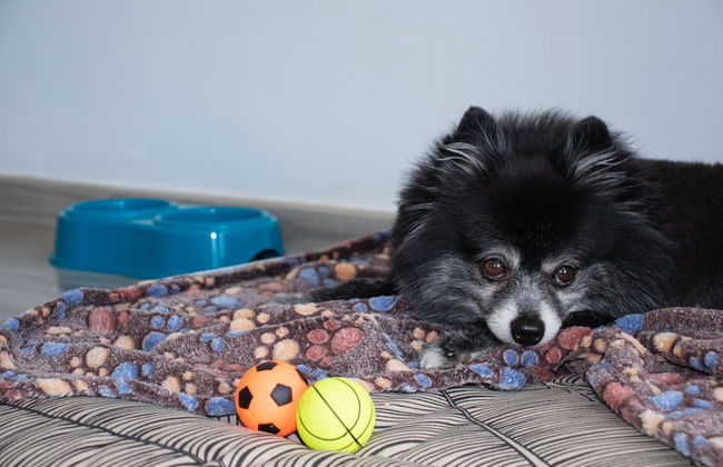 Club Hotel Marazul - Foto 11