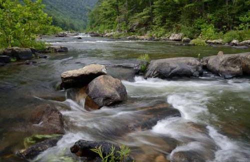 Shenandoah Retreat - Family Home - Foto 60