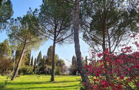 Colle del Vento - Foto 59