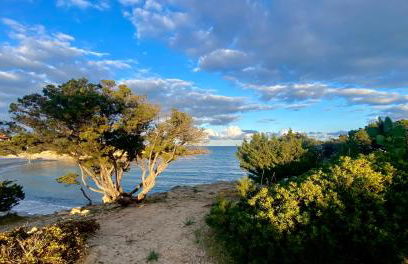 Costa Est Apartments - Foto 54