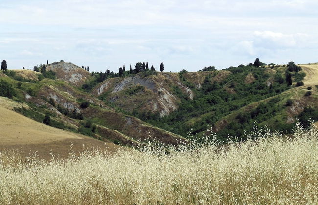 Apartment Near Pisa With Pool and Garden - Foto 34