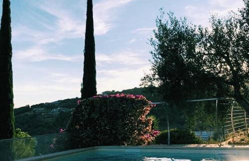 Uliveto Saglietto Agriturismo a Poggi Apartments - Foto 83