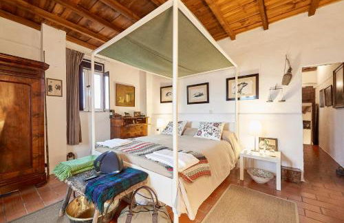 Monte dos Alpendres I Farmhouse - Foto 23