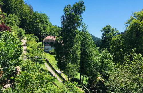 Urlaub Schwarzwaldliebe - Foto 21