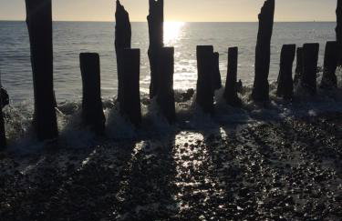 The Dairy light and relaxing - Foto 11