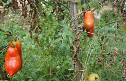 Apartment Mia - Foto 58