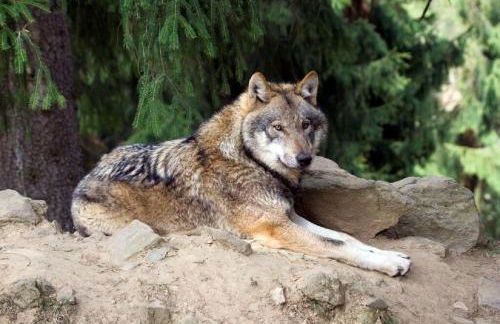 Ferienhaus Mariele - Foto 56