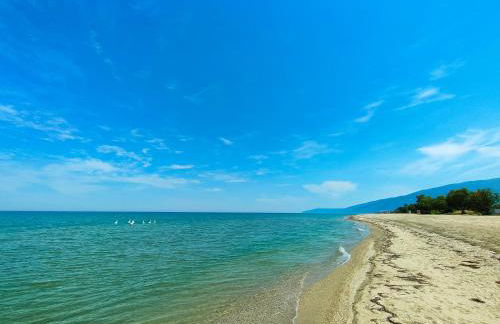 Alba Villa - Foto 24