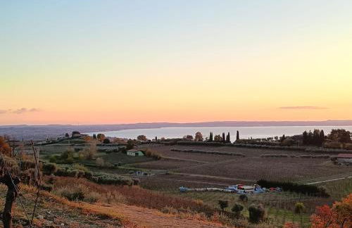 Residenza Gli Agrumi del Garda - Foto 48