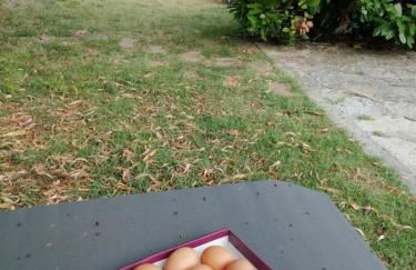 Villa Patti villa con piscina e camino nelle Marche - Photo 49