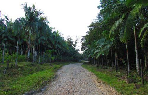 Refúgio dos Valdenses - Photo 25