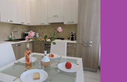 NICE FRANCE Apartment 2 rooms max 4 persons - Foto 5