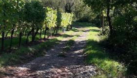 Nostalgie erleben im historischen Turmwächterhaus - Foto 5