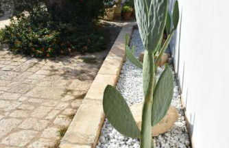 Masseria Tenuta Flora Maria - Foto 46