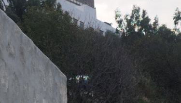 The Cave of Heart - Foto 4