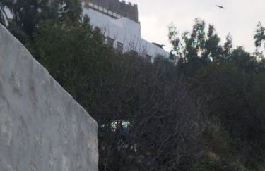 The Cave of Heart - Foto 4