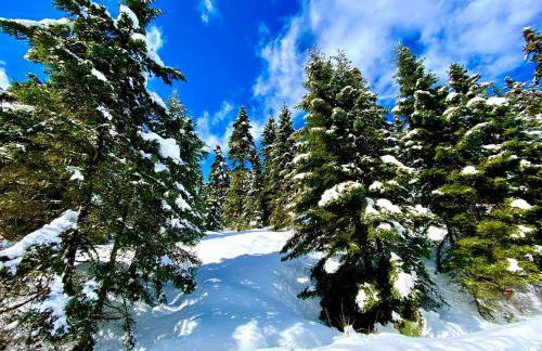 ESTELA House - Foto 42