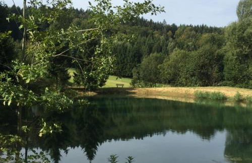 Ferienland Sonnenwald Fewo 46 und Studio 50 in Schöfweg Bayerischer Wald - Foto 46