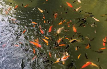 Ferienwohnung Design & Natur - Foto 33