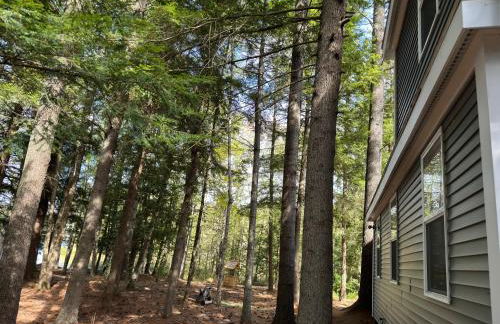 Luxury Forest Lake House - Privacy, Nature, Conveniences - New 2 bedroom - Foto 22